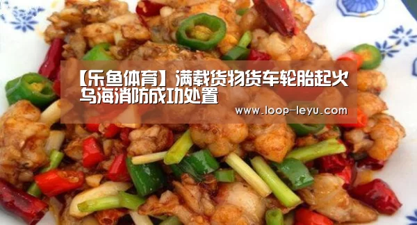 【乐鱼体育】满载货物货车轮胎起火 乌海消防成功处置(图1) 乐鱼体育APP