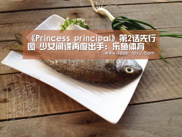 乐鱼体育