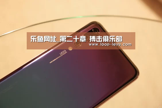 乐鱼网址_第二十章 搏击俱乐部(图4) 乐鱼app