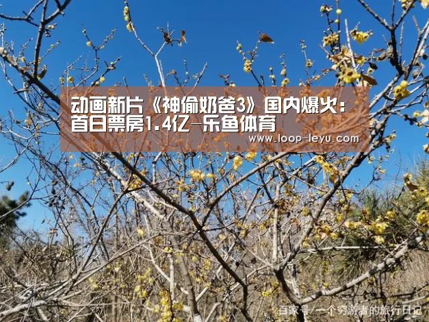 乐鱼体育