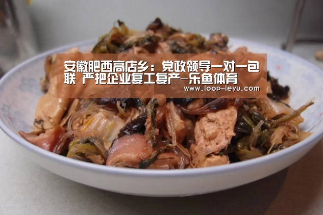 安徽肥西高店乡:党政领导一对一包联 严把企业复工复产-乐鱼体育(图1) 乐鱼网址