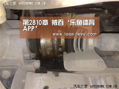 第2810章 被吞‘乐鱼体育APP’(图1) 乐鱼体育